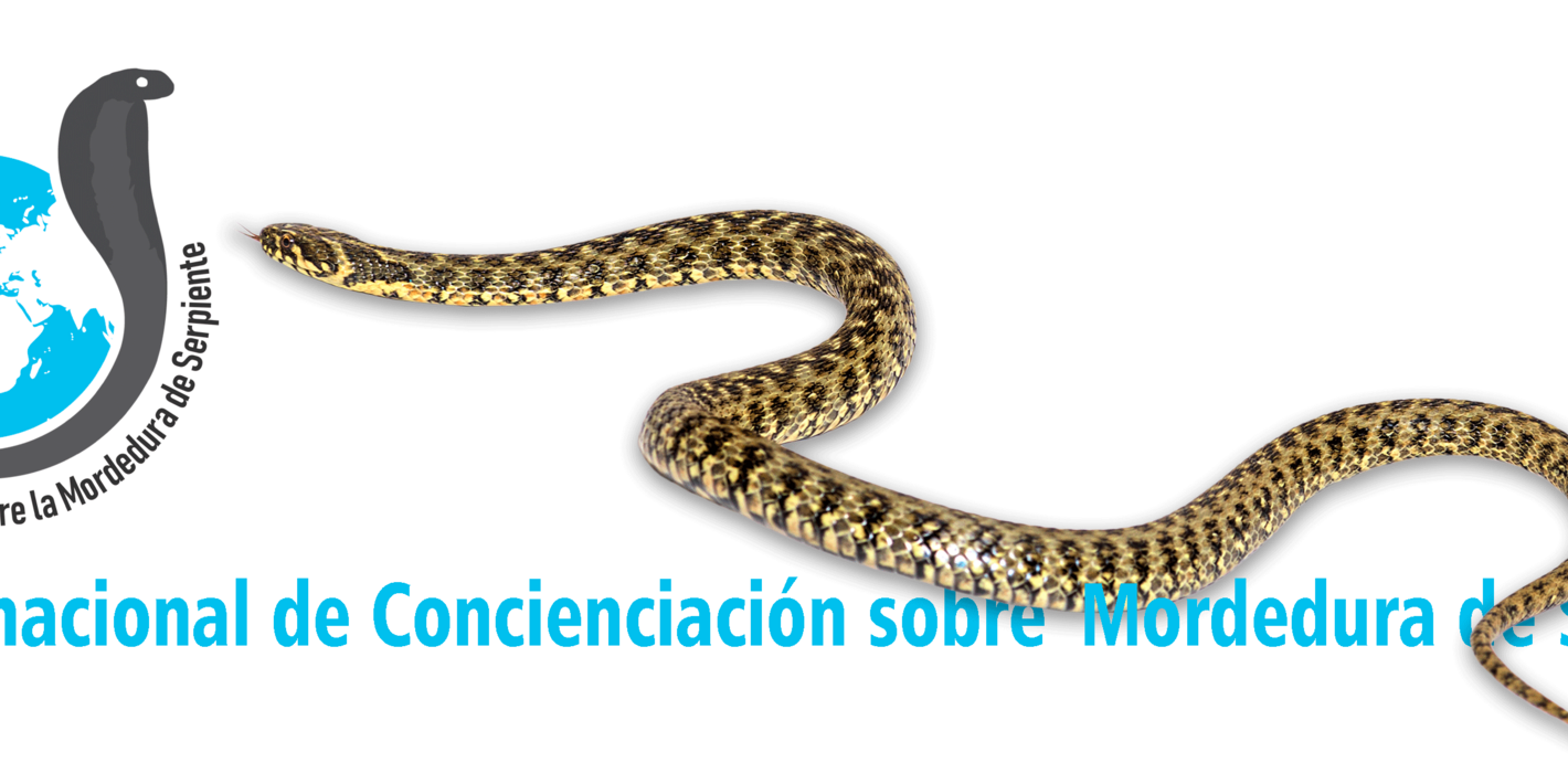 serpiente
