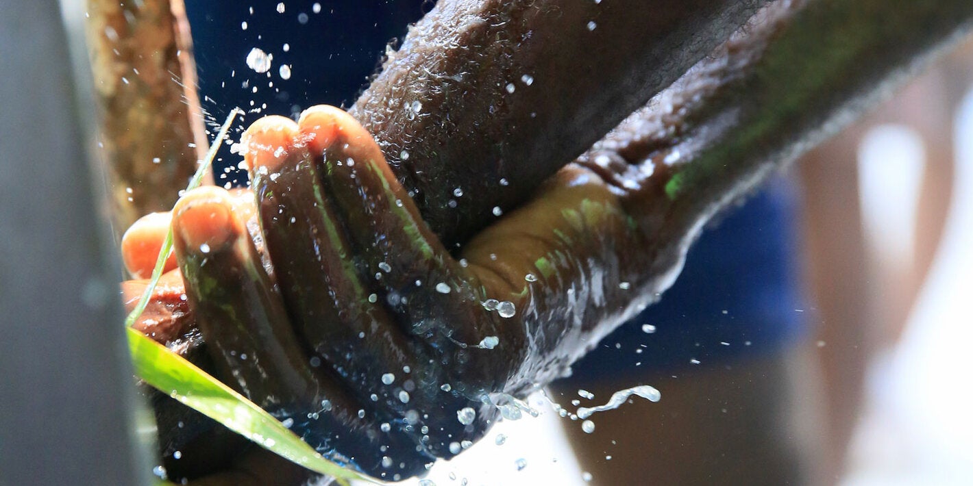 Hombre lavandose las manos