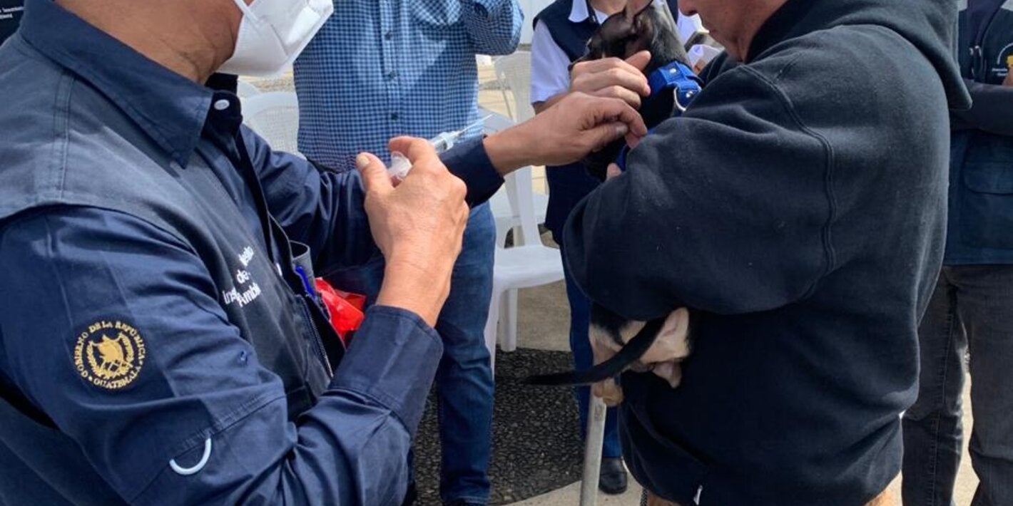 Jornada vacunación contra la rabia