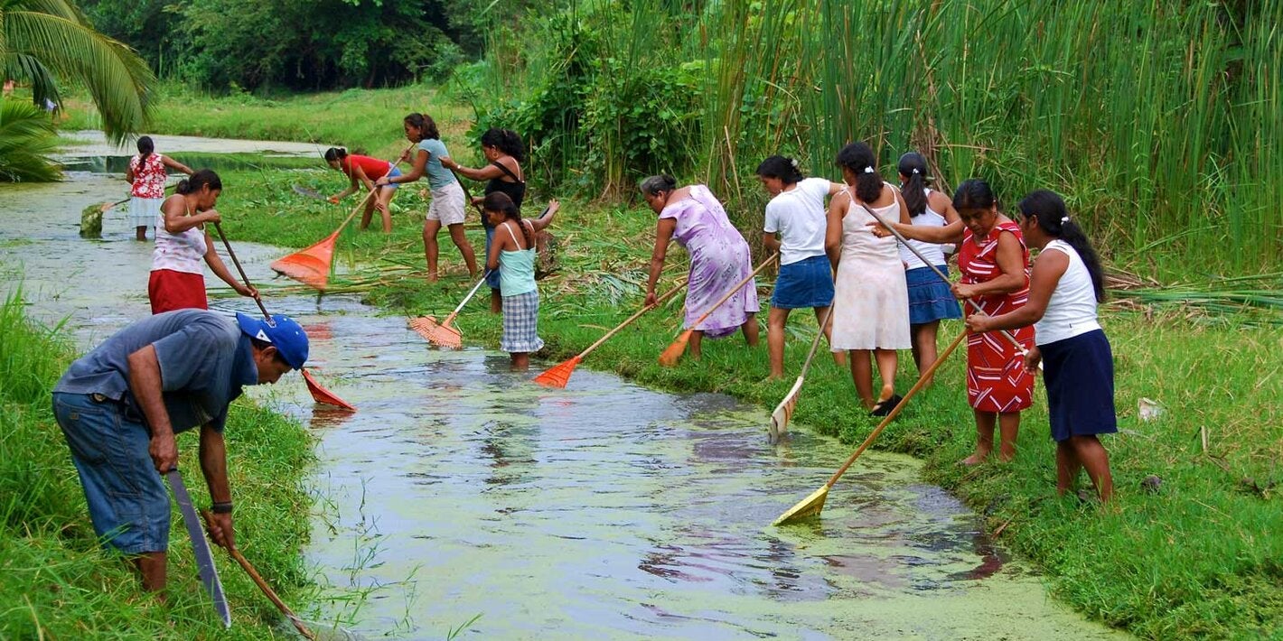 volunteers treat standing water