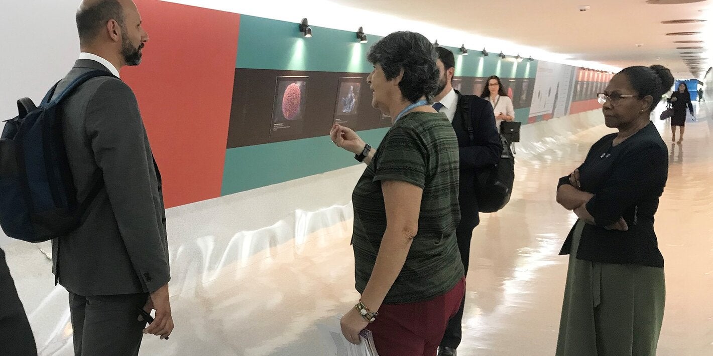 Exposición Nanoarte en el MinSal de Brasil