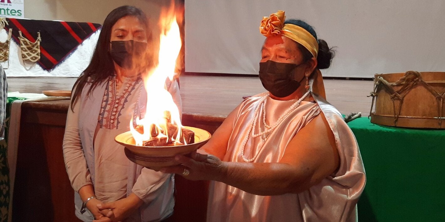 Medicina Tradicional