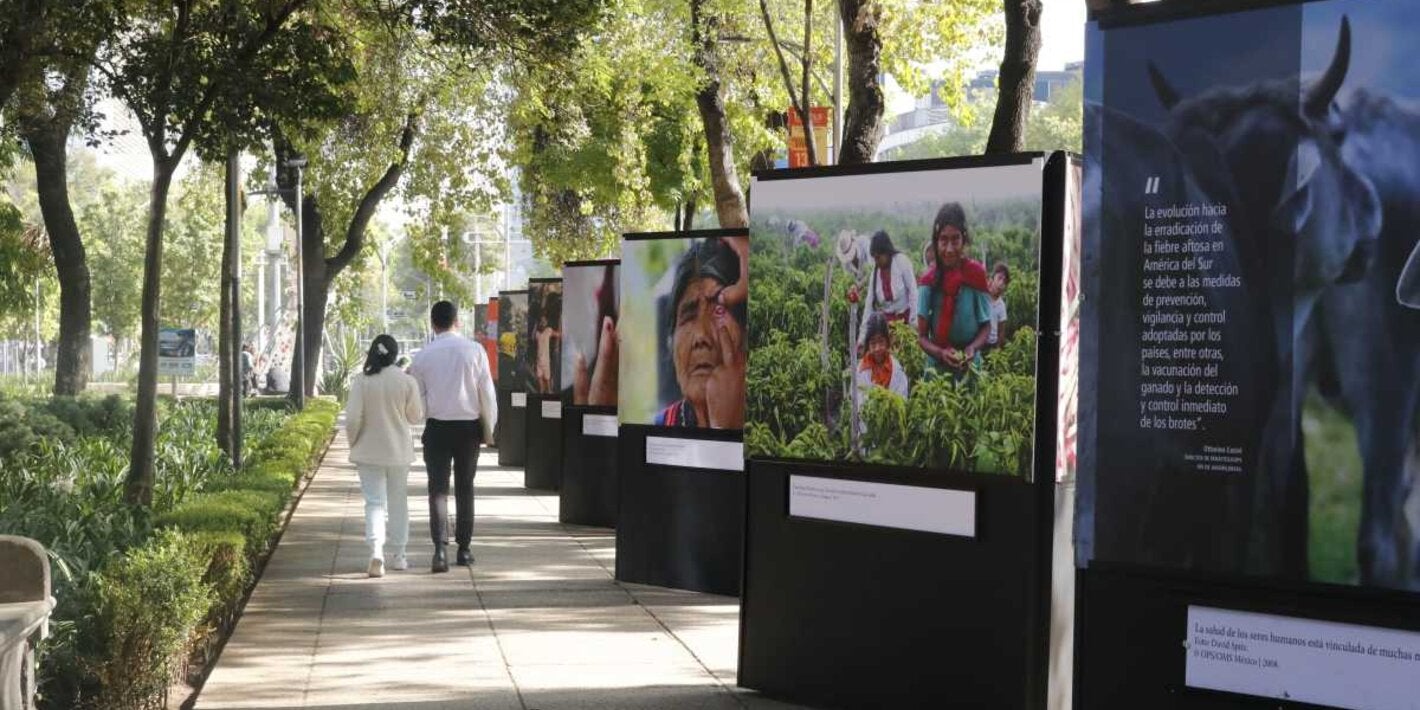 Galería Abierta: Celebrando 120 Años de Solidaridad por la Salud y el Bienestar de Todos
