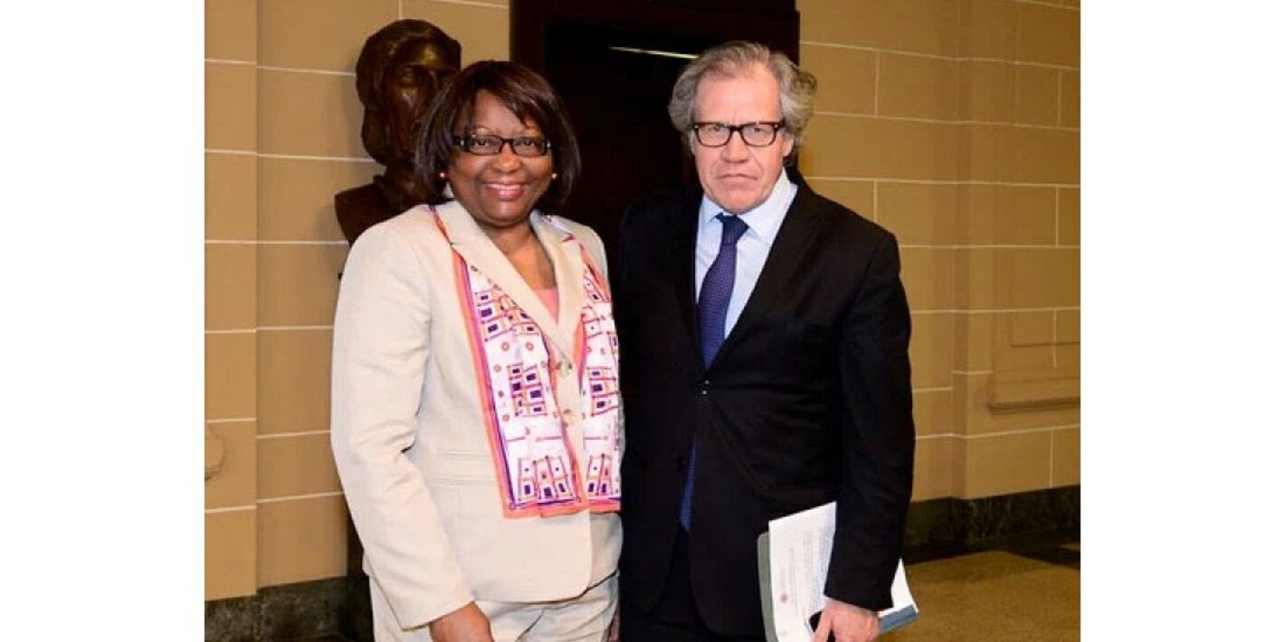 paho and oas directors