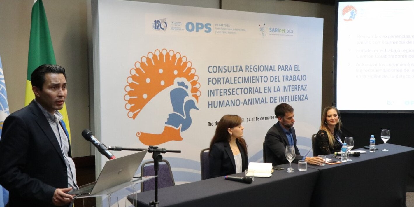Expertos de la OPS durante la consulta regional en Brasil