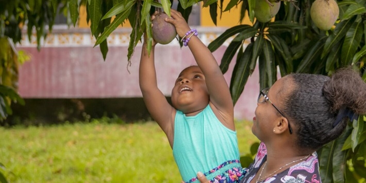 Caribbean Mom helping daughter - CCCCC owned pick a mango - CCCCC owned 