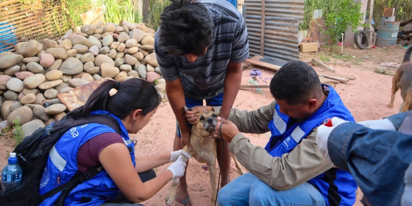 Campaña Leishmaniasis