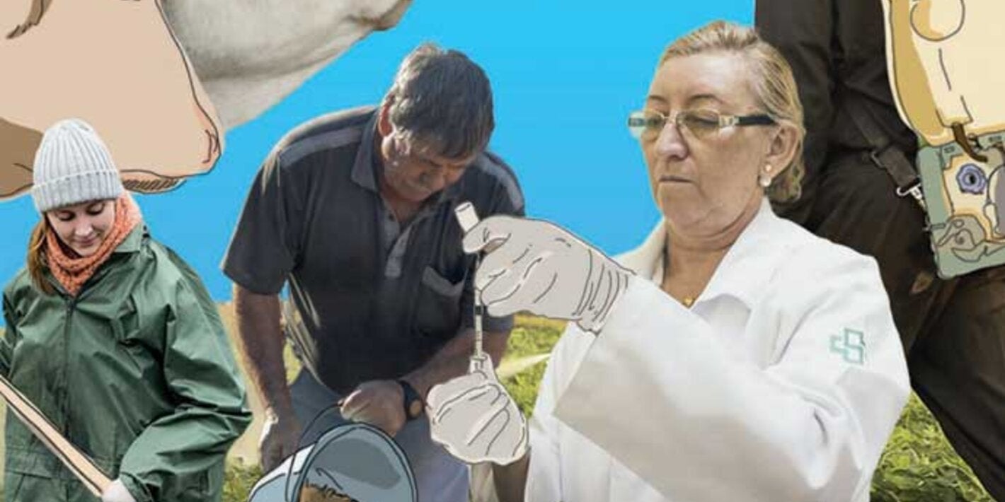 Imagen de varios componentes del tema UNa Salud