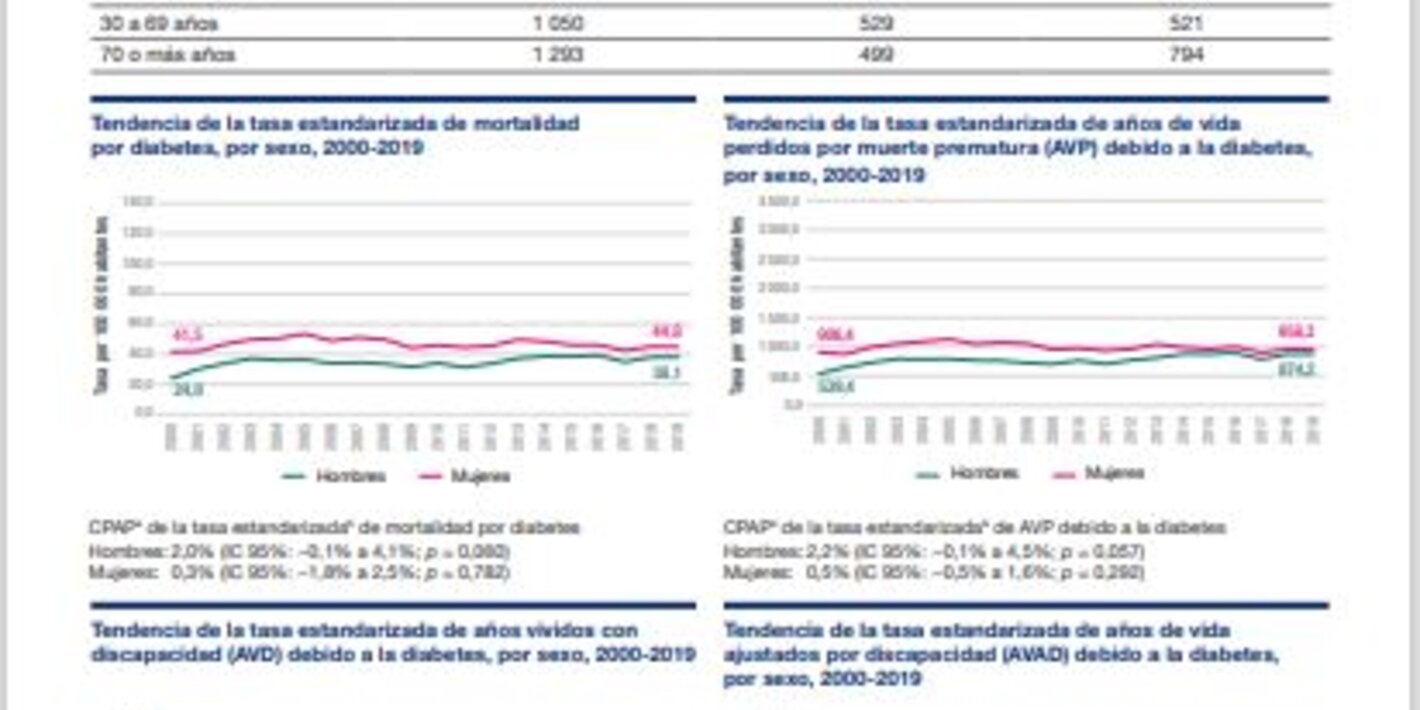 Perfil de carga de enfermedad por diabetes 2023: Paraguay