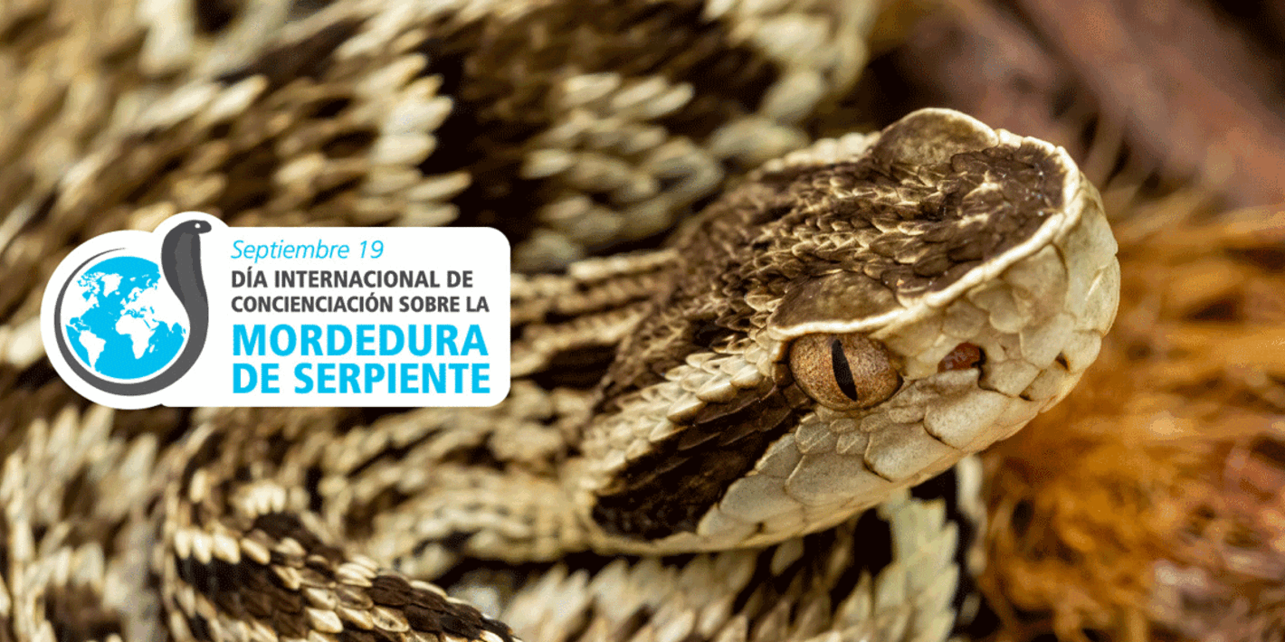 Día Internacional de la Concienciación de la Mordedura de Serpiente