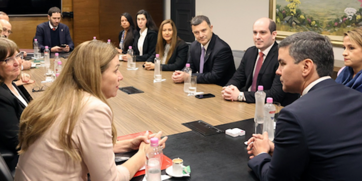 DINAVISA presenta al presidente de la República ambiciones como ARN de proyección internacional