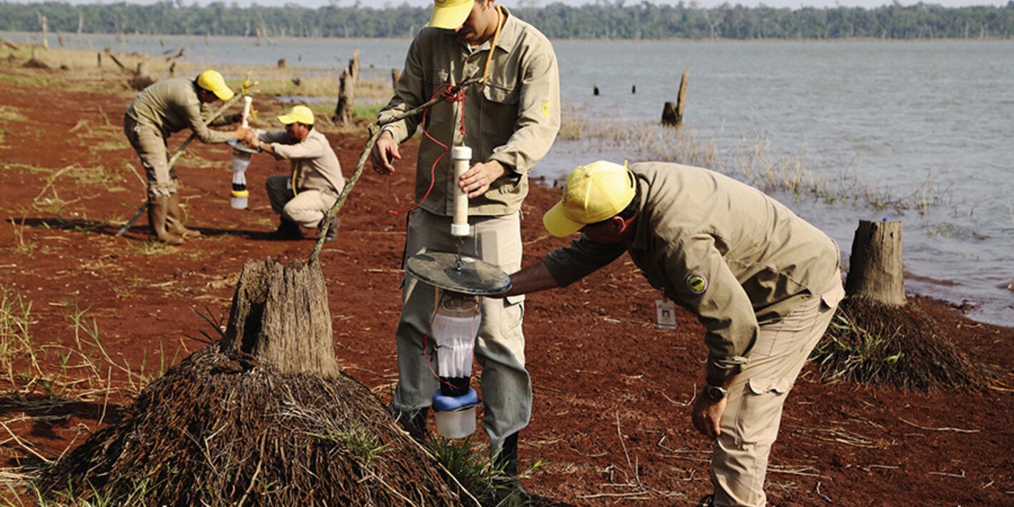 malaria ellimination