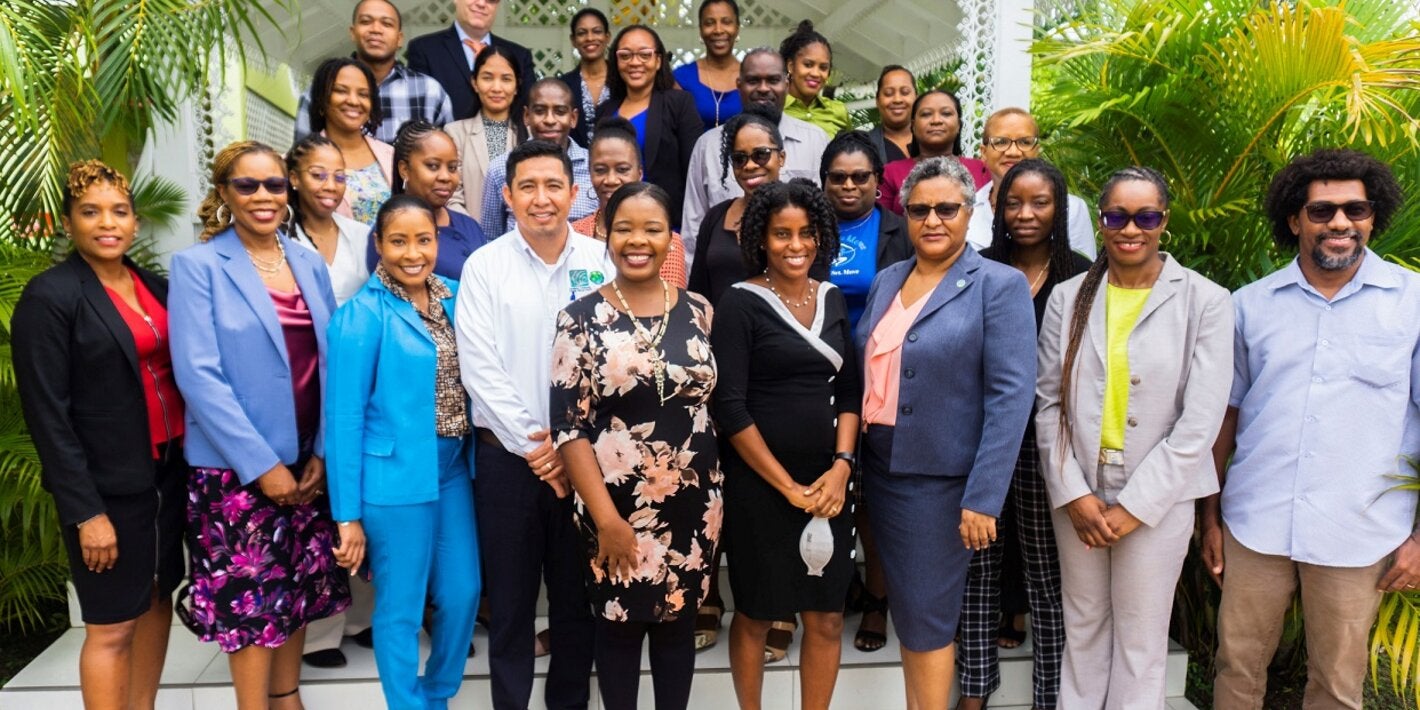 Facilitators and participants of the H-NAP Validation Meeting held in Saint Lucia.