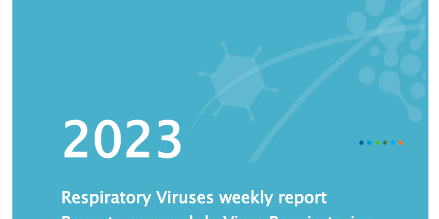 Portada reporte influenza y otros virus respiratorios SE44