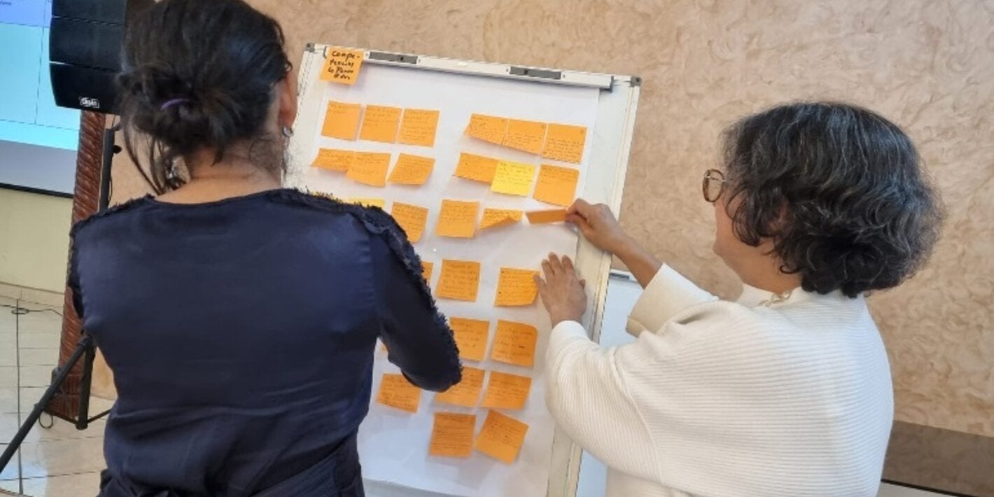 Identificación de problemas RHUS para la construcción de la política