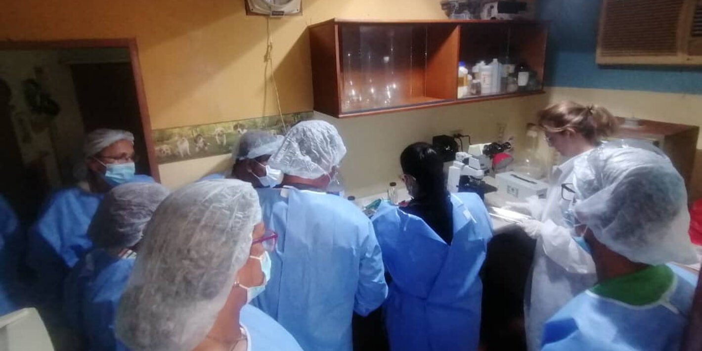 Capacitación por parte de integrantes del Instituto Pasteur (Brasil) a laboratorios venezolanos en diagnóstico de rabia