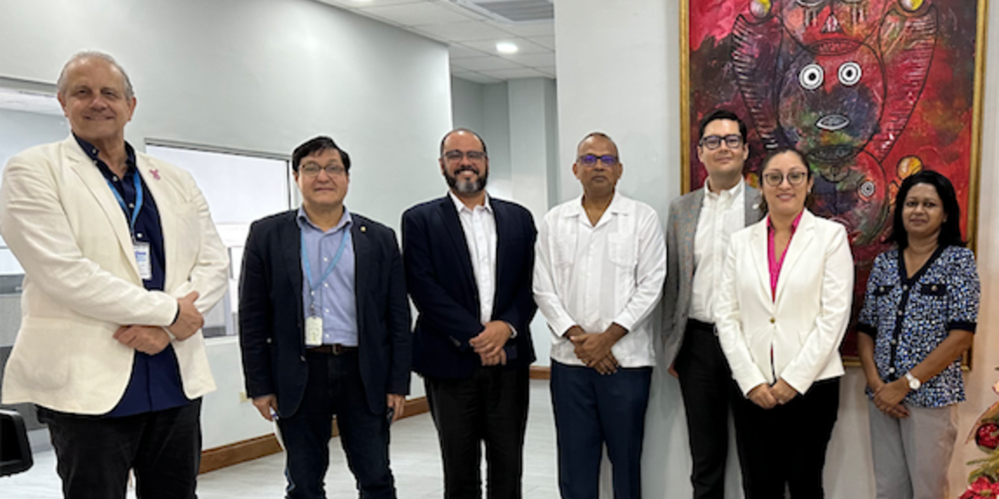 PAHO technical cooperation to strengthen regulatory capacities for local production in Guyana