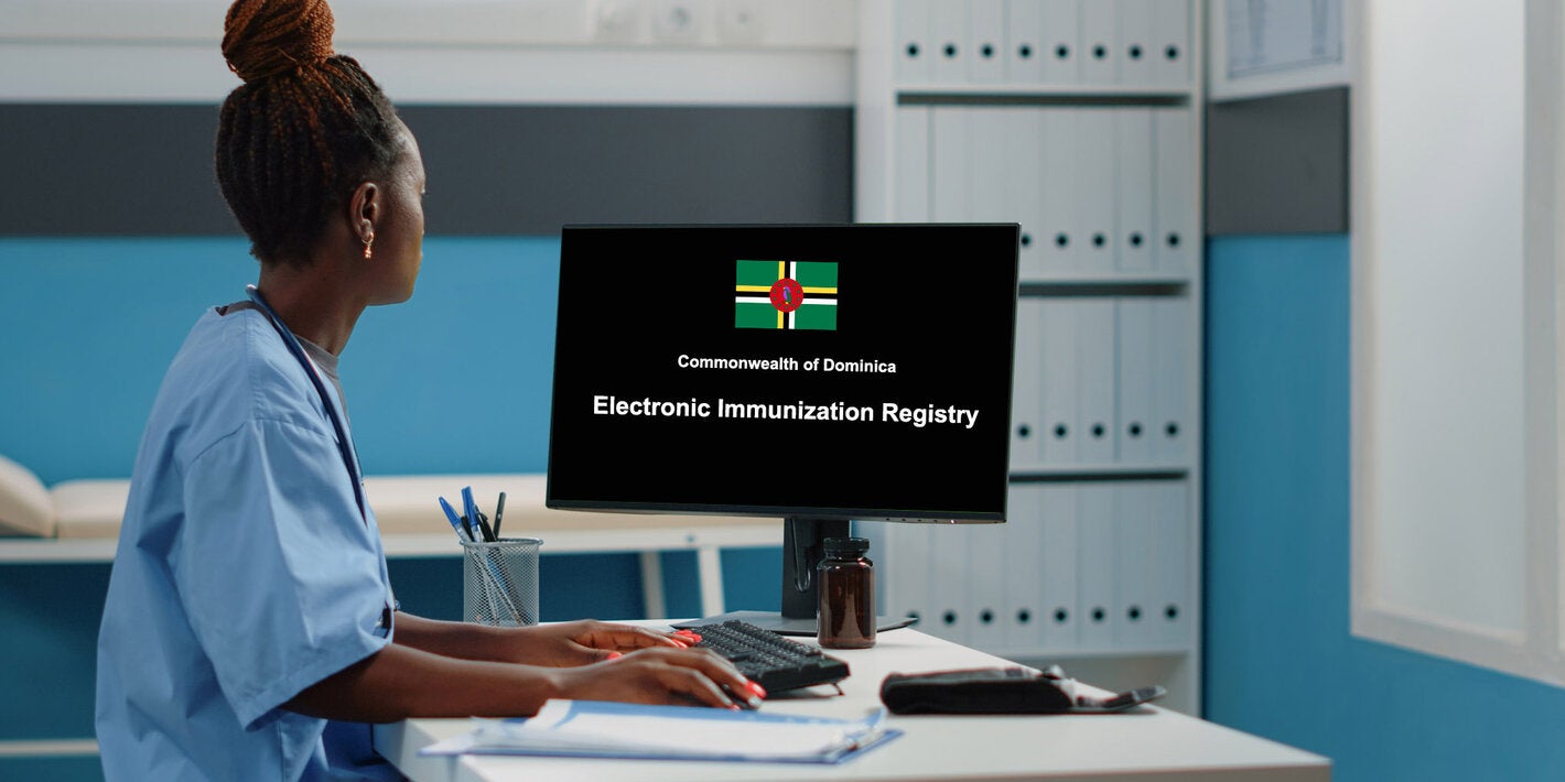 Health worker using a computer