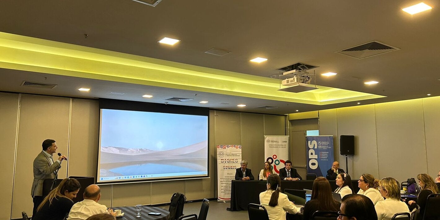 Taller sistema salud materna