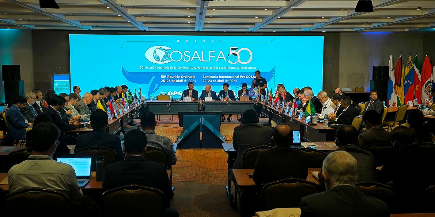 Clausura COSALFA 50