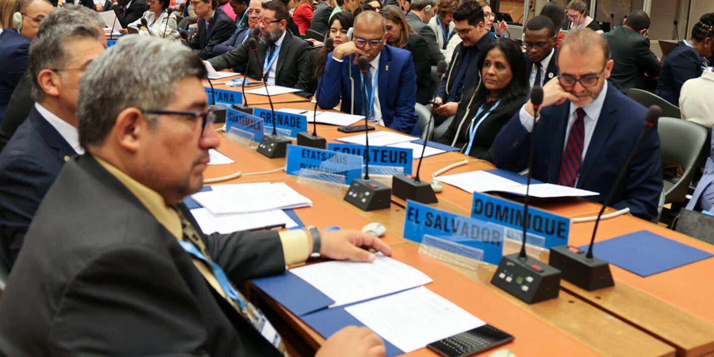 Delegations of the Americas at the 77th World Health Assembly