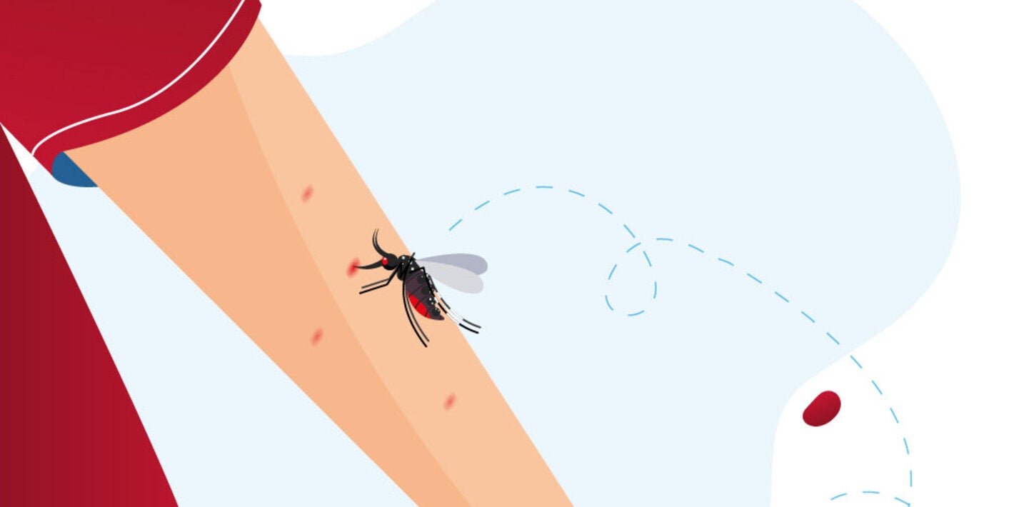Picadura de mosquito
