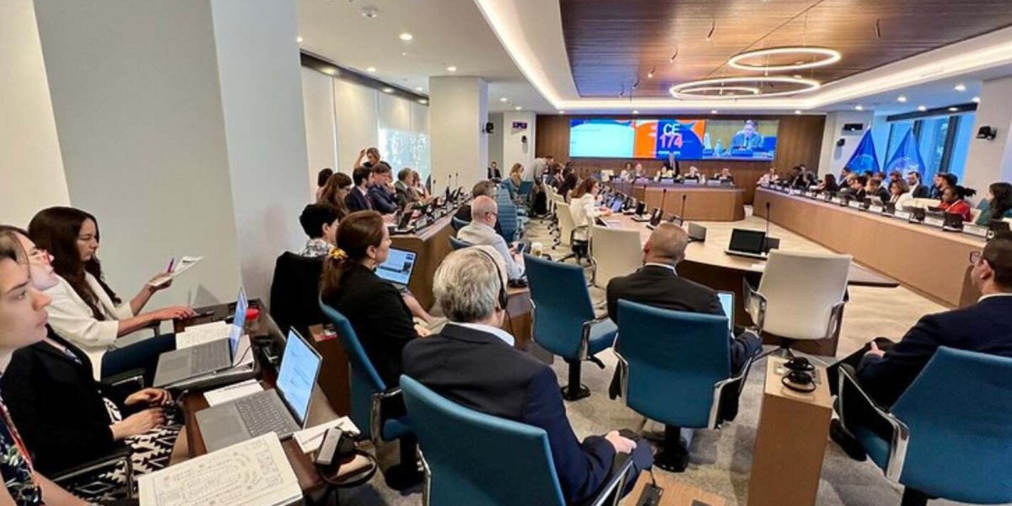 Consejo Directivo 2024