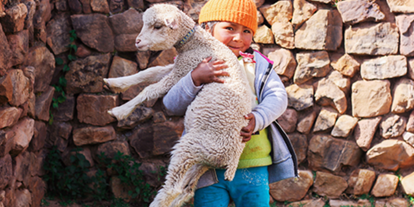 Niña latinoamericana con oveja