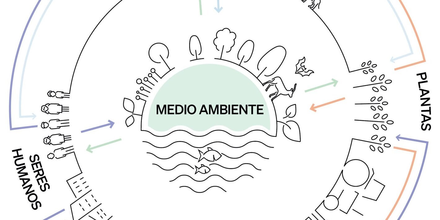 Estrategia Una salud