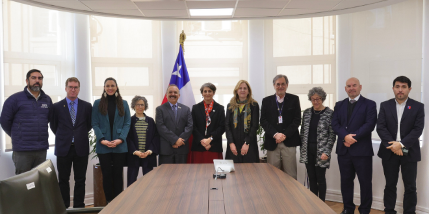 Brotes de Virus Respiratorio Sincicial, presencia del Aedes Aegypti e incendios en Región de Valparaíso fueron los temas abordados en visita al país