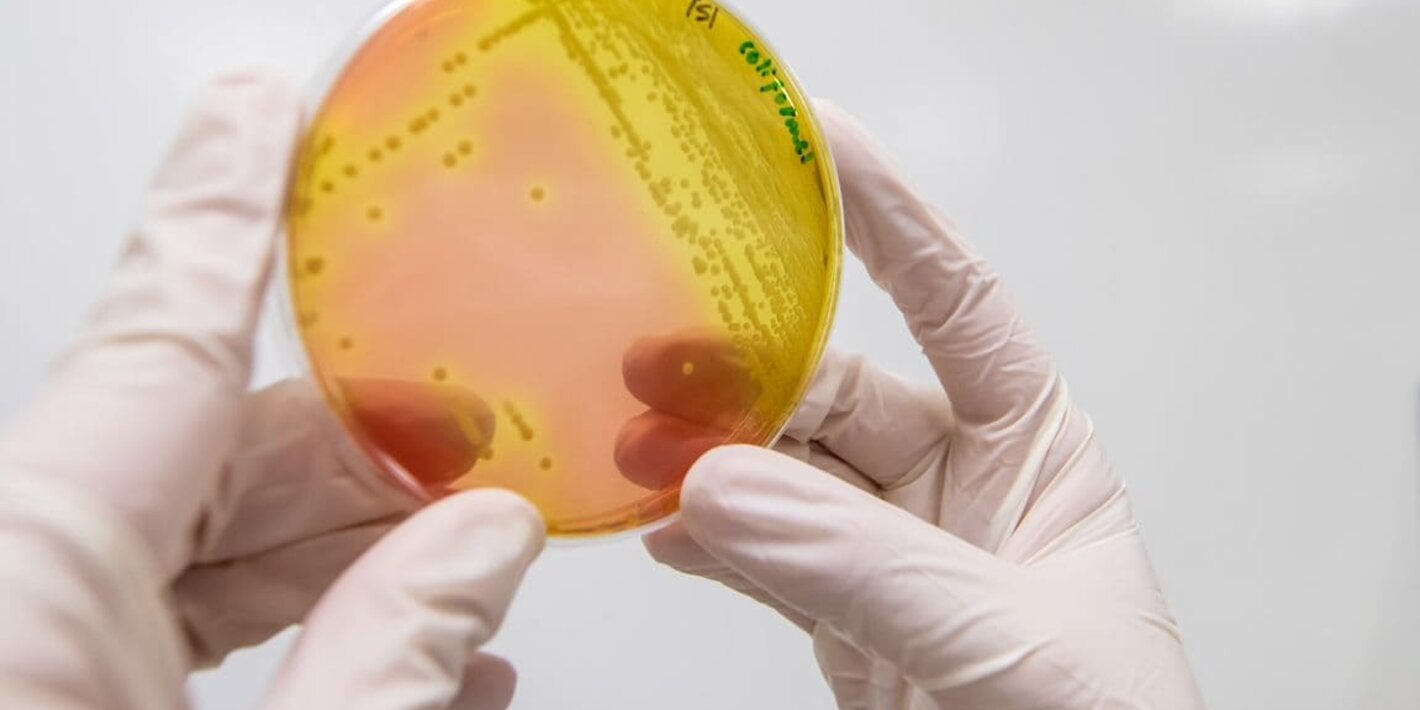 Patógenos resistentes