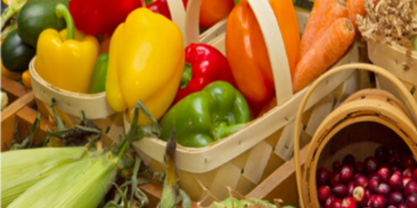 inocuidad de los alimentos