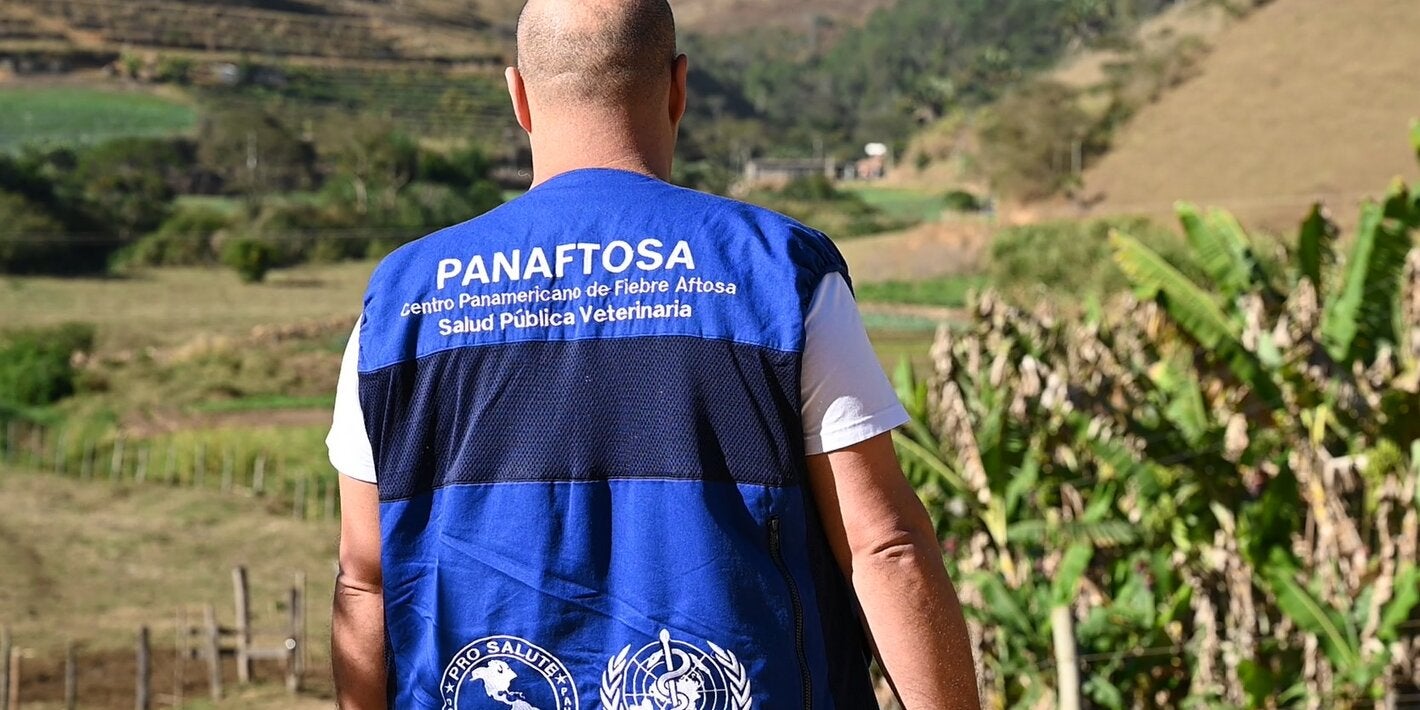 técnico de panaftosa en campo