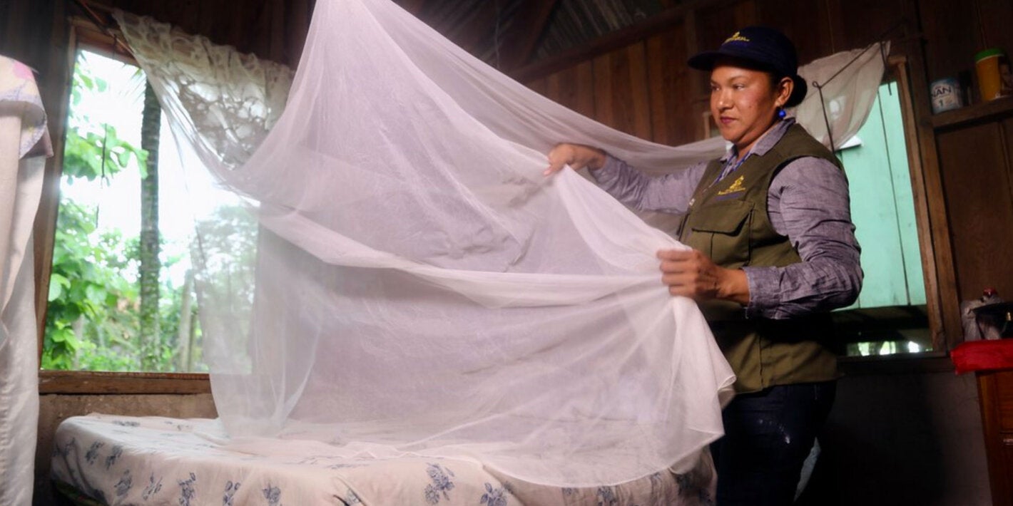 mosquito net