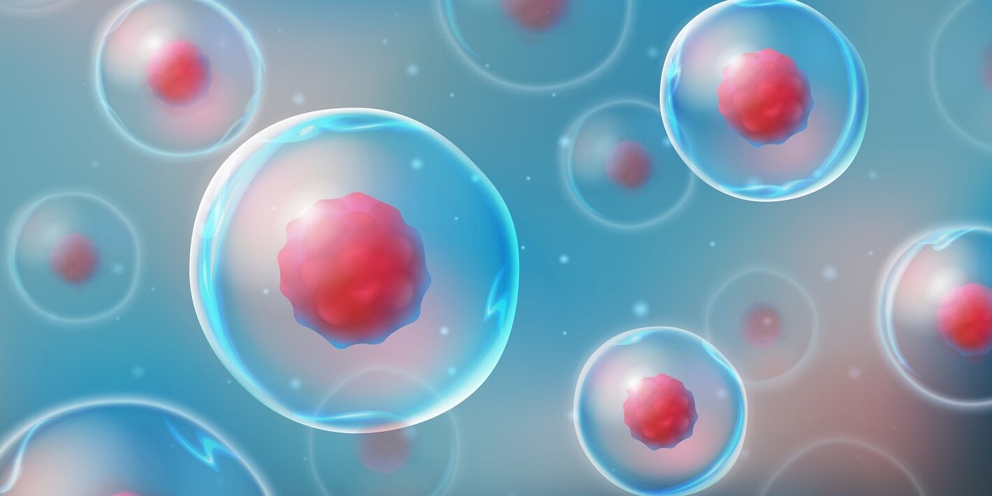 Boosting access, innovation and production of advanced therapies in Latin America and the Caribbean: agreement between PAHO and AECID 