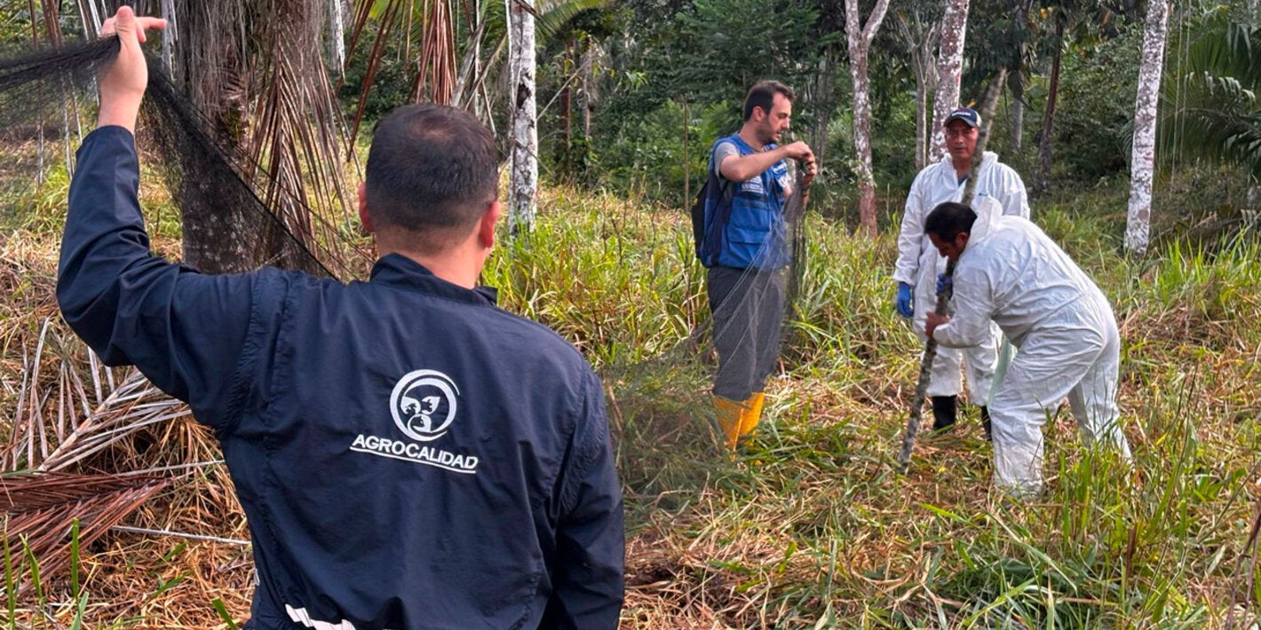 control rabia herbívoros ecuador