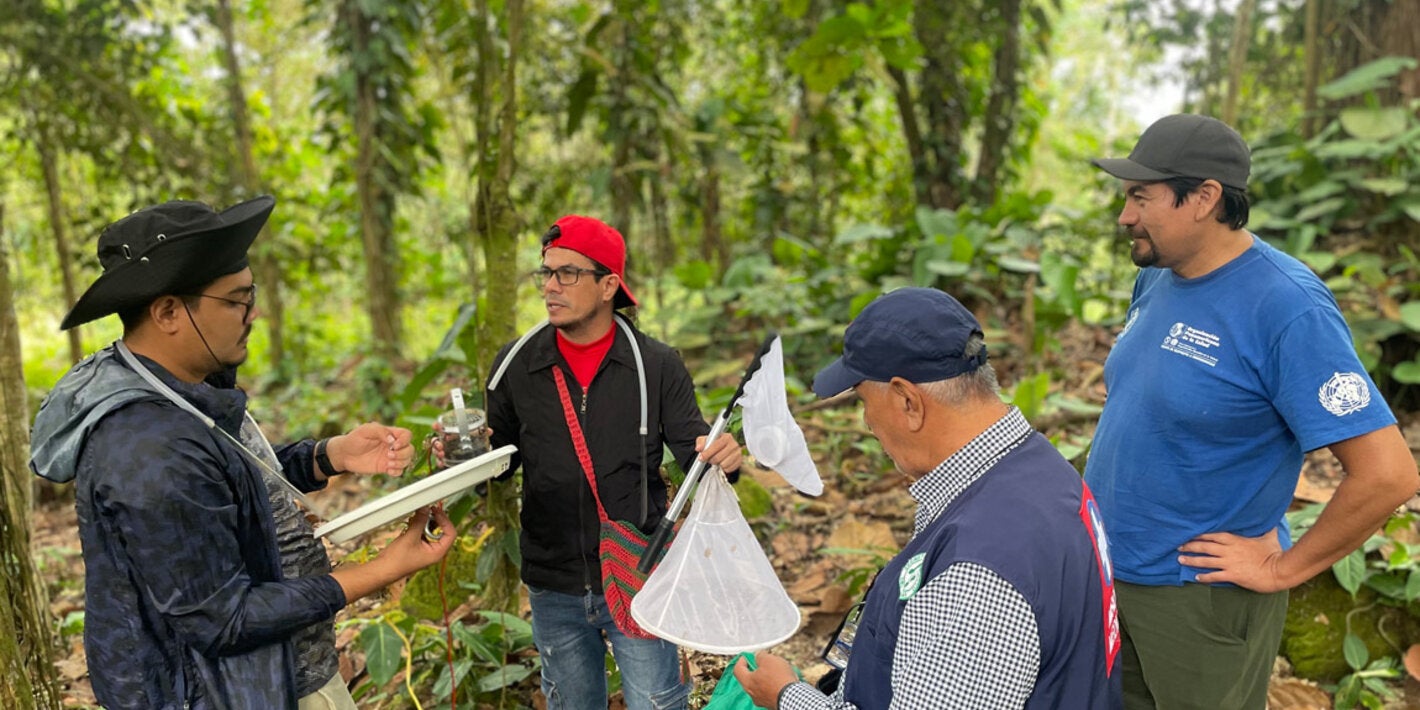 Primates como centinelas: un avance clave en la vigilancia comunitaria de la fiebre amarilla en Colombia