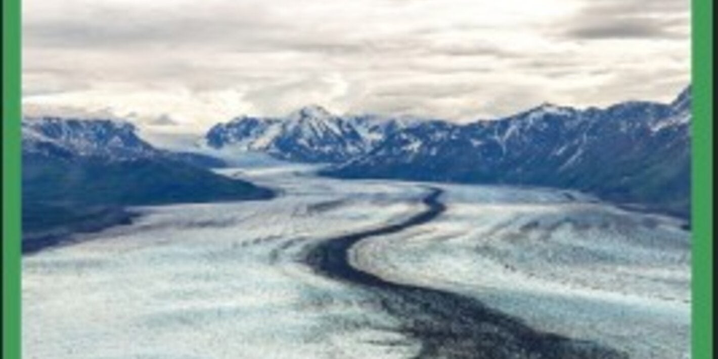 Guidance on mental health policy and strategic action plans: Module 2. Key reform areas, directives, strategies, and actions for mental health policy and strategic action plans