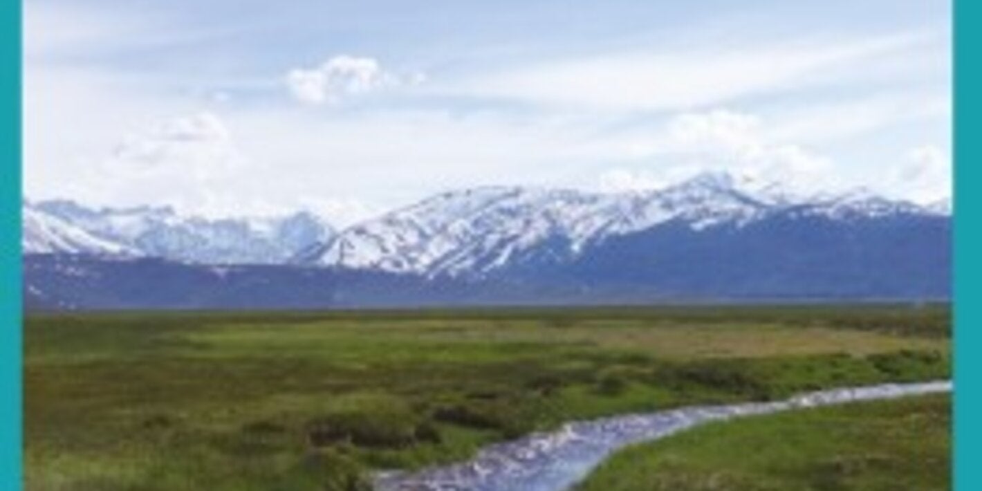 Guidance on mental health policy and strategic action plans: module 5: comprehensive directory of policy areas, directives, strategies and actions for mental health