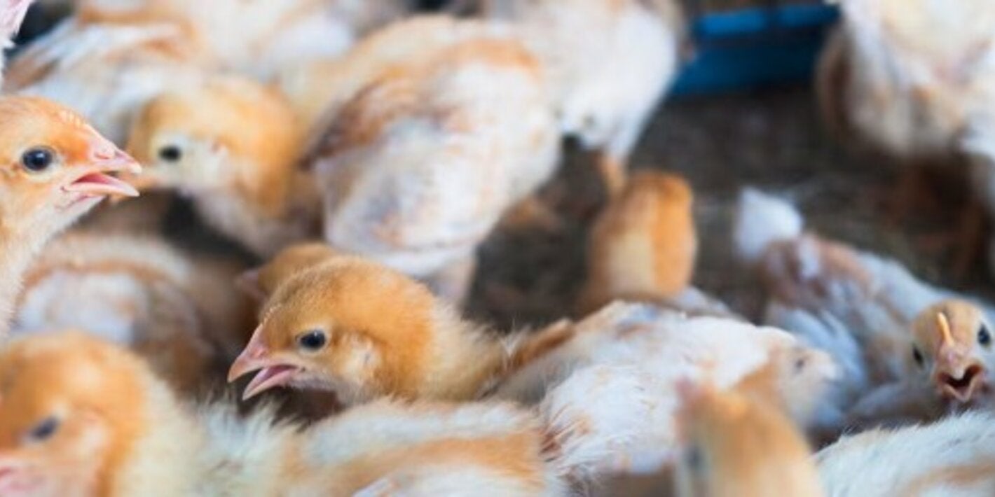 laboratorios fortalecimiento de capacidades