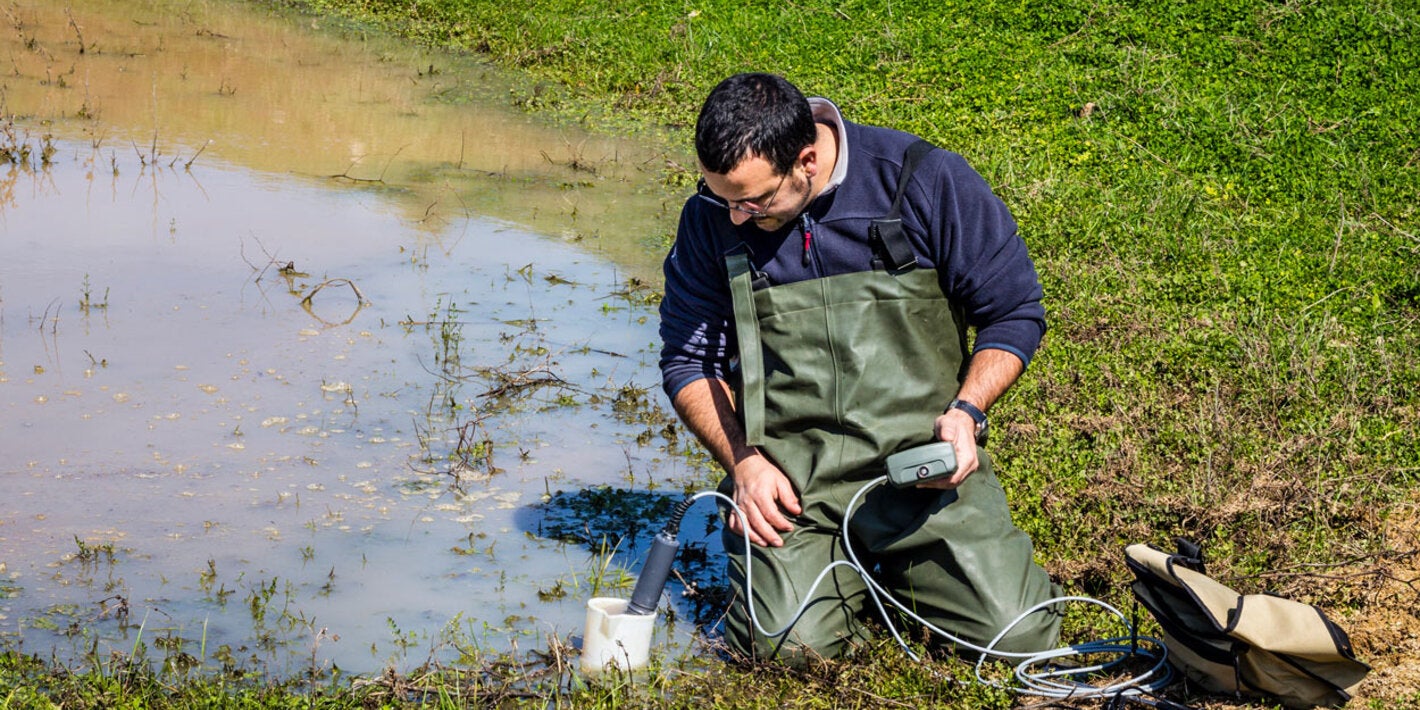 Scientist measuring environmental water quality in a wetland