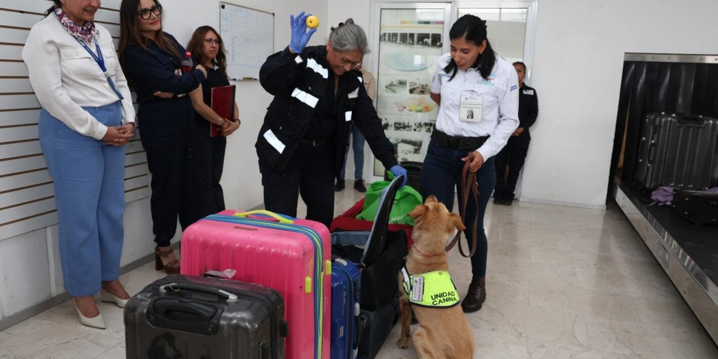 Equipo técnico de la OPS visitó la unidad canina que se entrena en las instalaciones de SENASICA