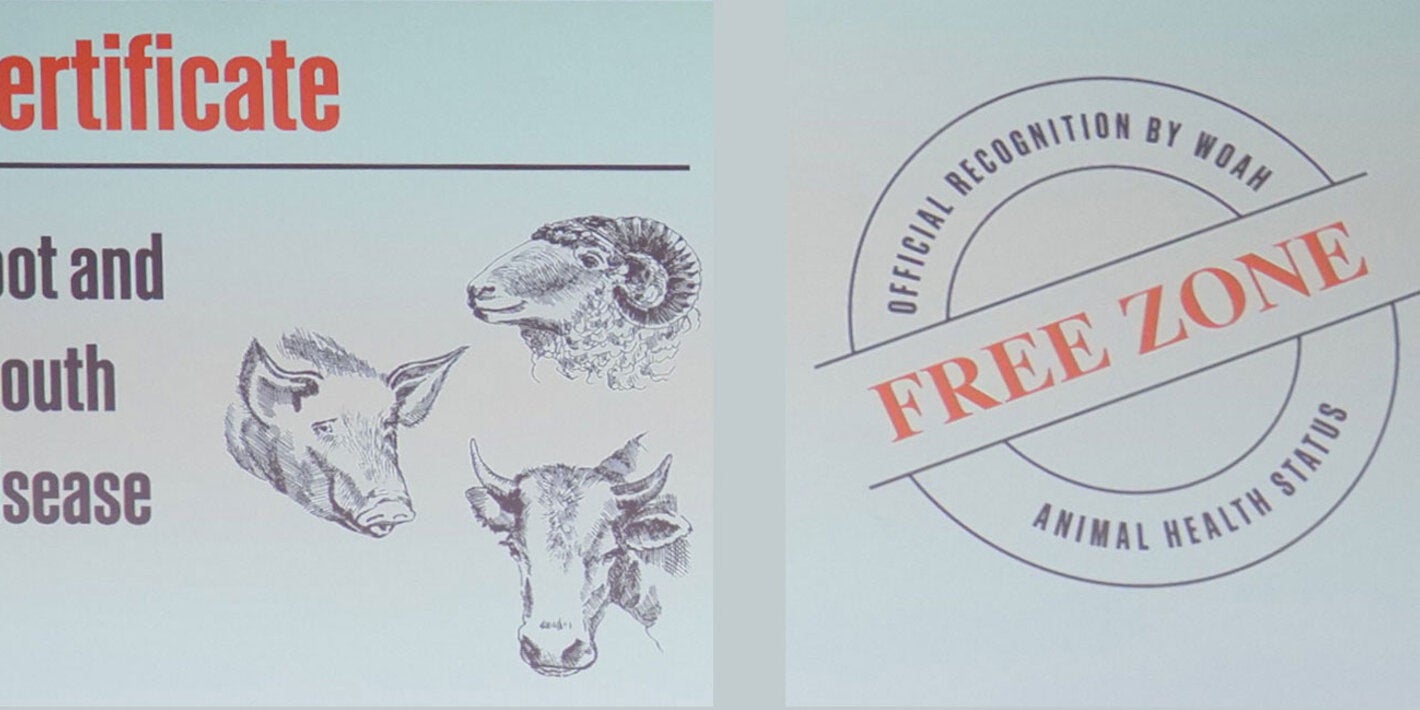 Certificate Free of Foot and Mouth Disease OMSA