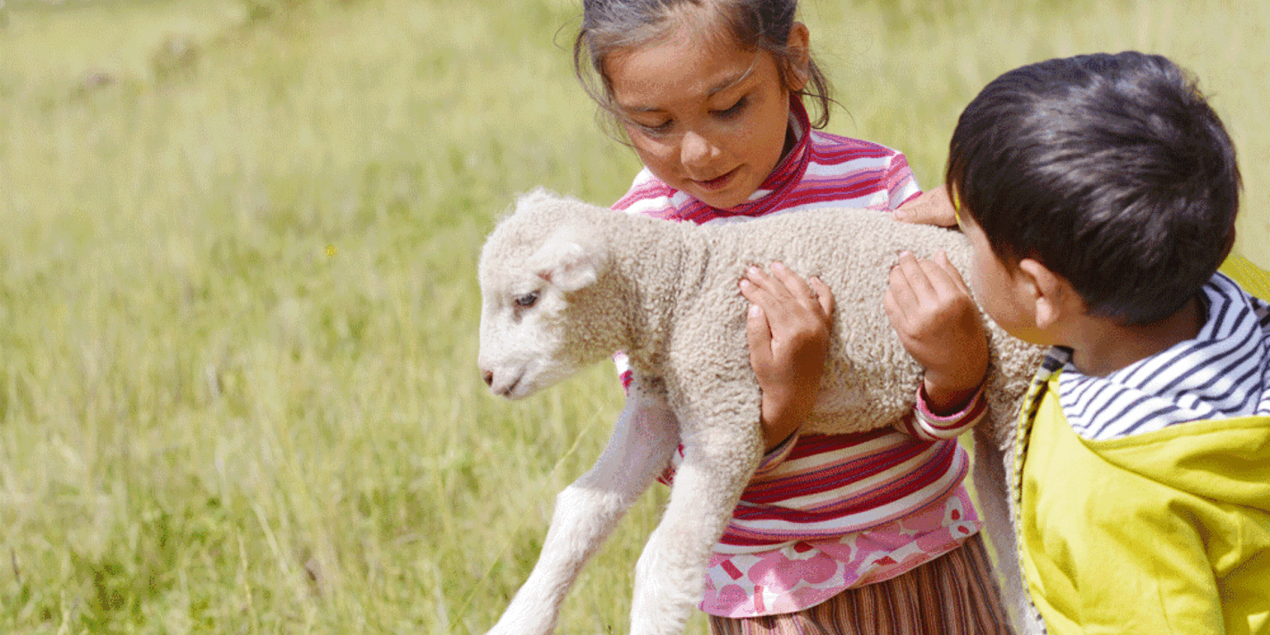 niños con oveja pequeña en brazos