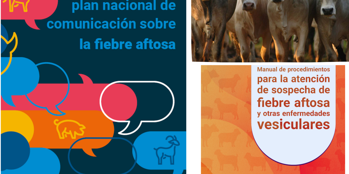 foto de las portadas de la guìa para la elaboración del plan nacional de comunicación sobre la fiebre aftosa y del Manual de procedimintos para la atención de sospecha de fiebre aftosa y otras enfermedades vesiculares junto con una foto de vacas en el campo