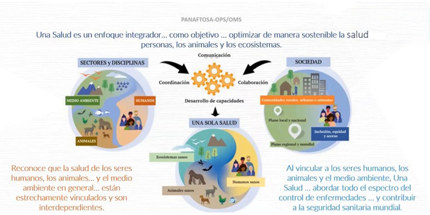 Gráfico de Una Salud