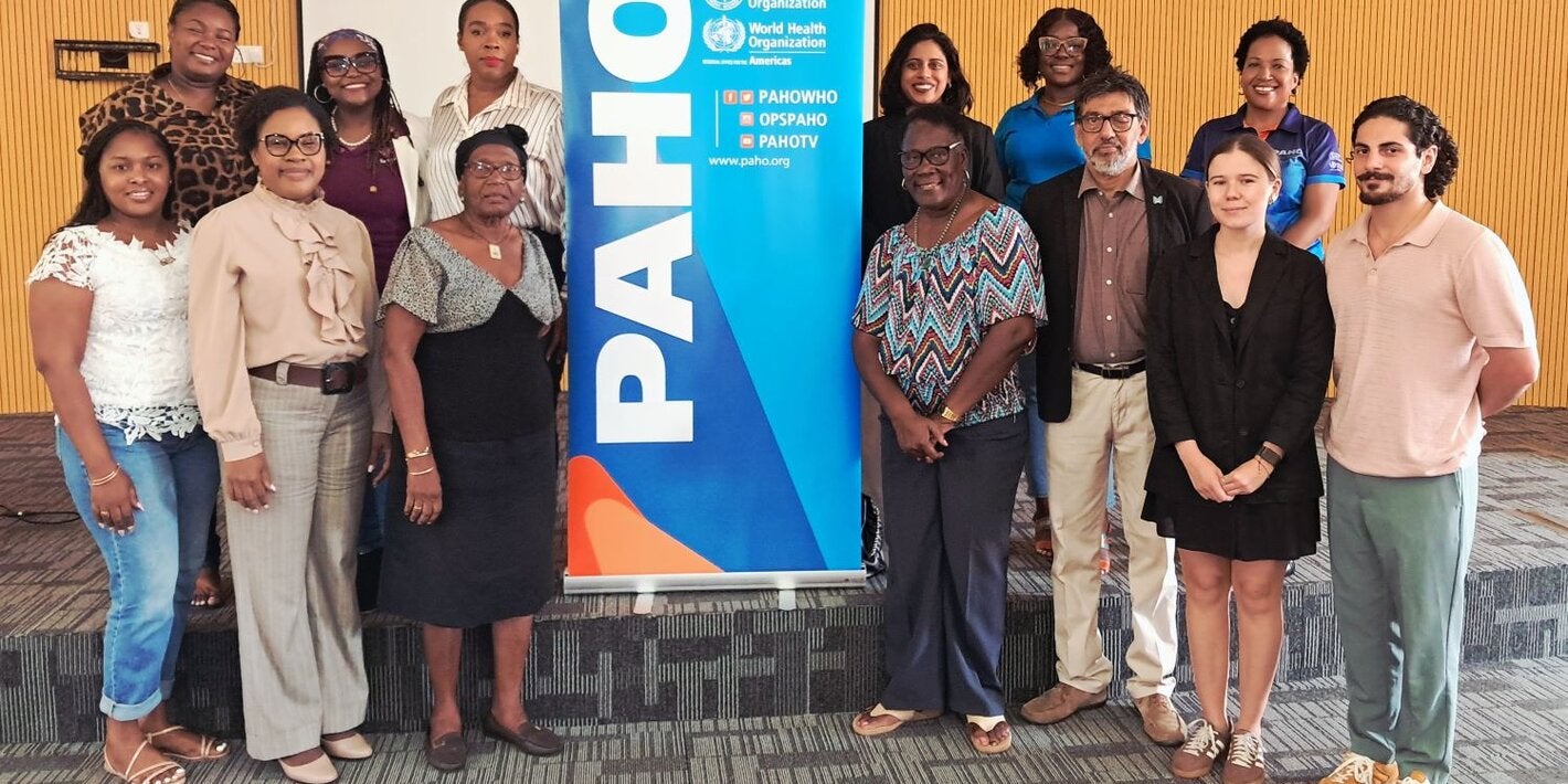 Dominica MH Consultation