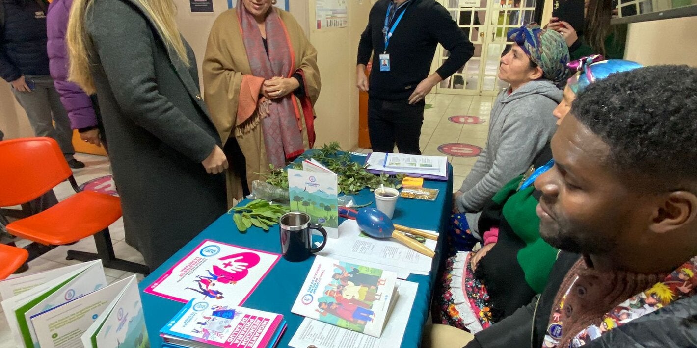 Misión en Chile Directora Determinantes de la Salud de OPS