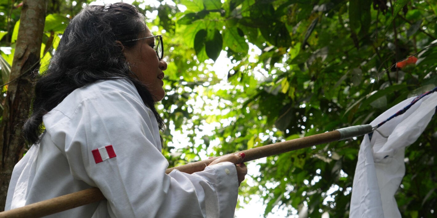 OPS/Adriana Navarro||Personal de salud realizando captura de vectores