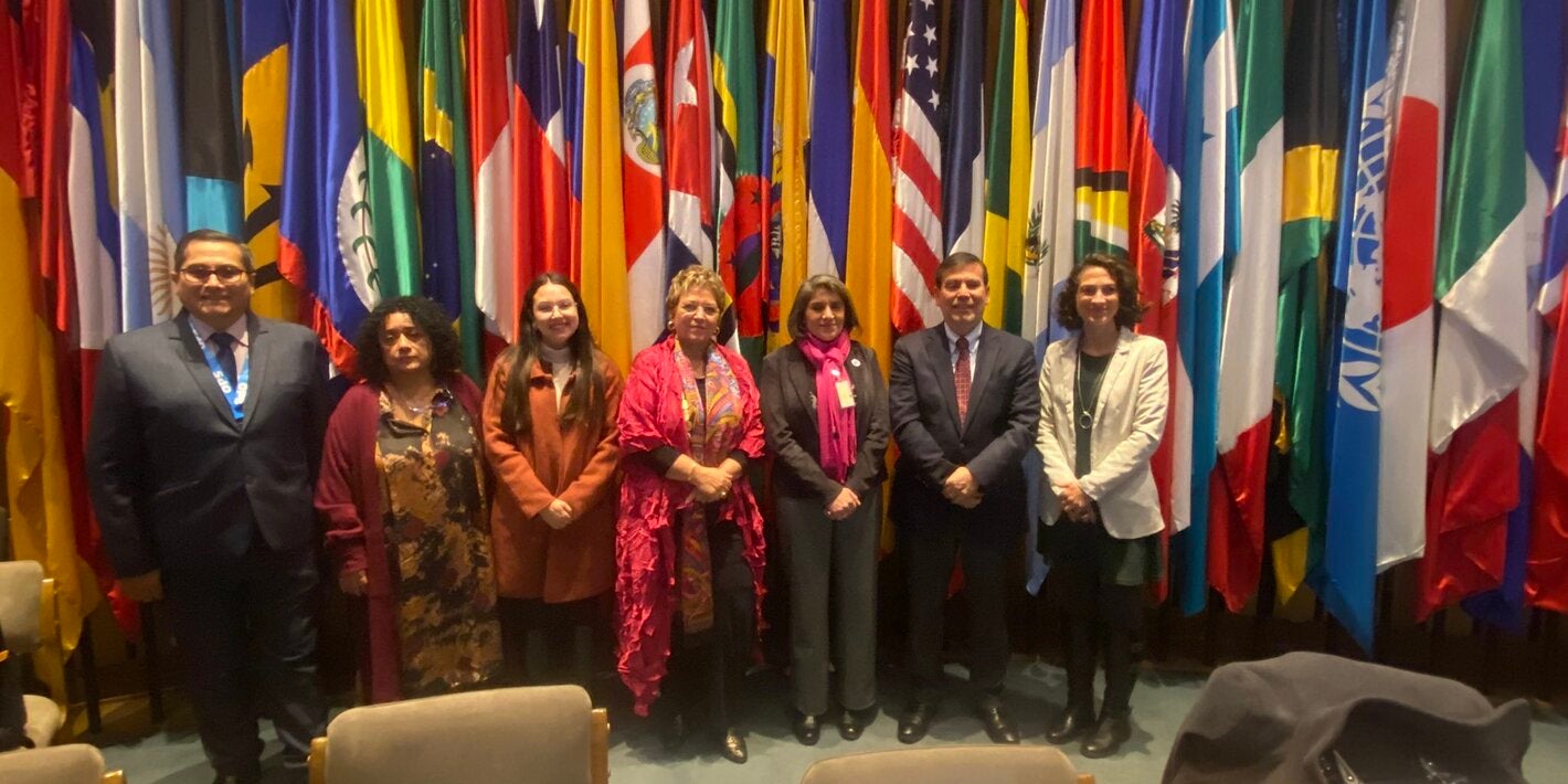 Participantes del evento de OPS y CEPAL